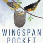 Wingspan: Pocket